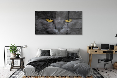 Glass print Black cat