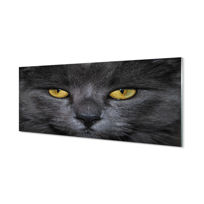 Glass print Black cat
