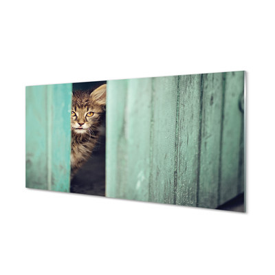 Glass print Cat zaglądający