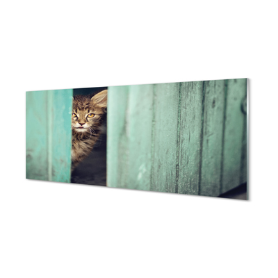 Glass print Cat zaglądający