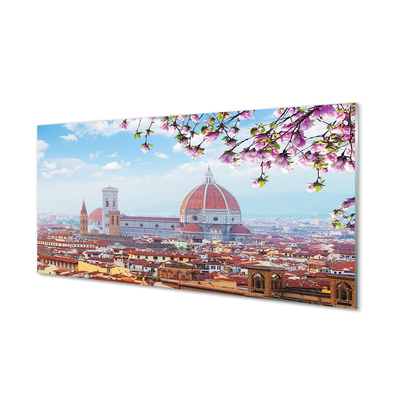 Glass print Italy cathedral panoramic night