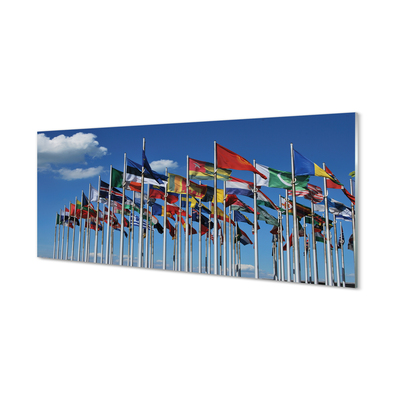 Glass print Various flags