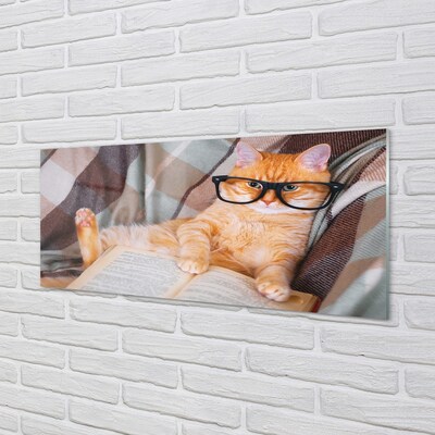 Glass print The reader cat