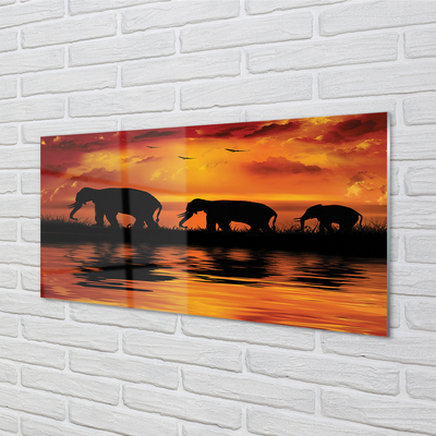 Glass print Westlake elephants