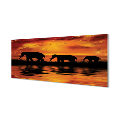 Glass print Westlake elephants