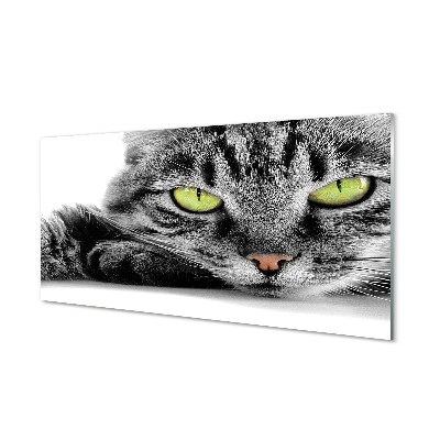 Glass print Gray-black cat