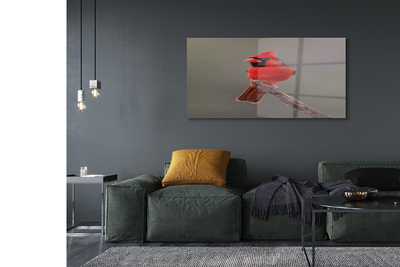 Glass print Red parrot on a branch