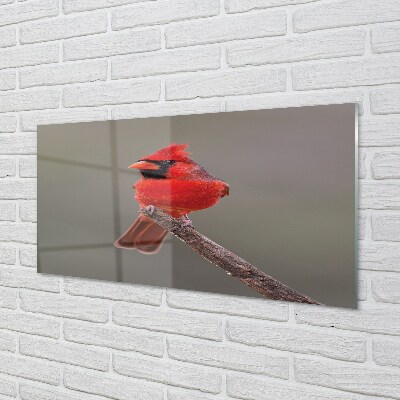 Glass print Red parrot on a branch