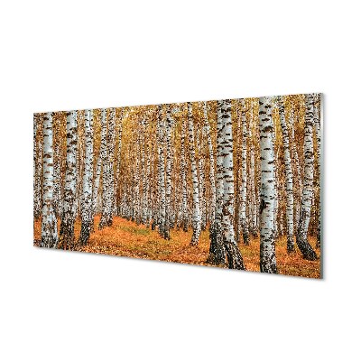 Glass print Fall trees