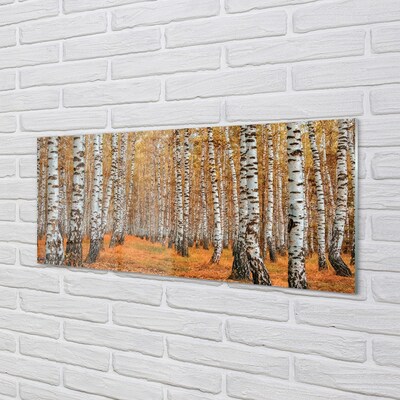 Glass print Fall trees