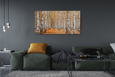 Glass print Fall trees