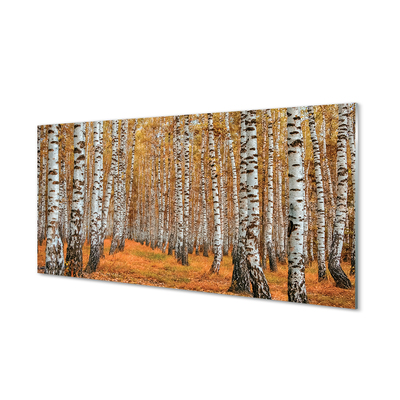 Glass print Fall trees