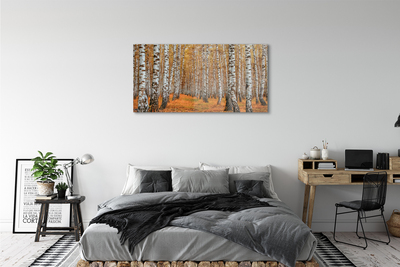 Glass print Fall trees