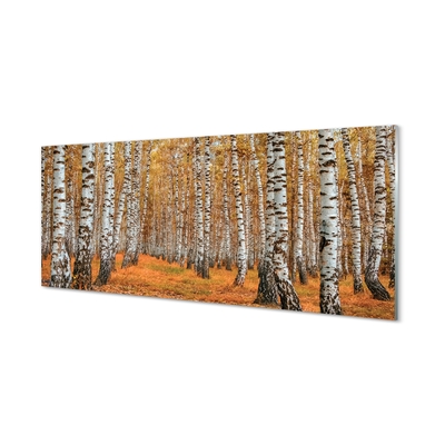 Glass print Fall trees