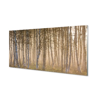 Glass print Forest sunrise