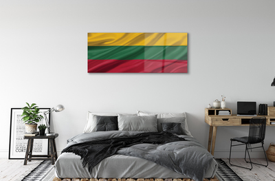 Glass print Flag of lithuania