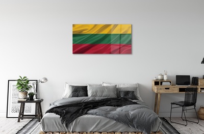 Glass print Flag of lithuania