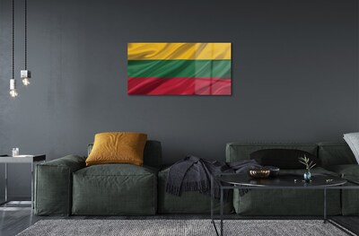 Glass print Flag of lithuania