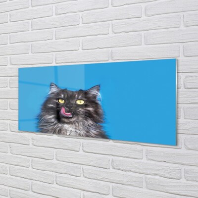 Glass print Oblizujący cat