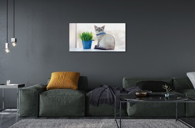 Glass print Cat seat