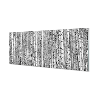 Glass print Black and white forest