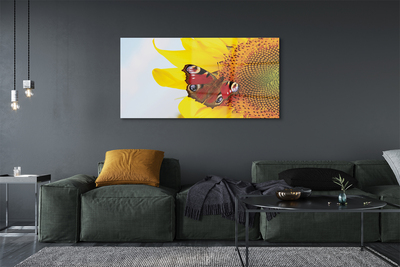 Glass print Sunflower moth