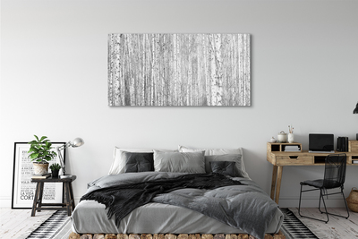 Glass print Black and white forest