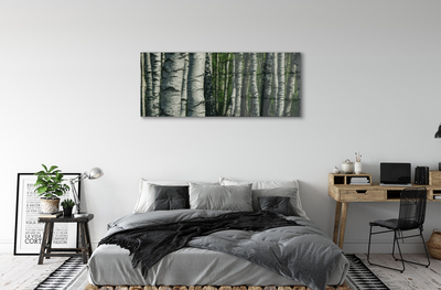 Glass print Birch forest