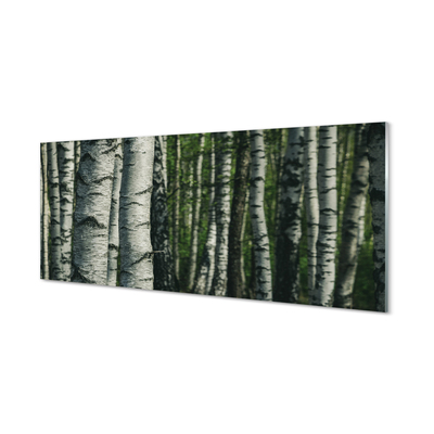 Glass print Birch forest