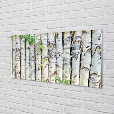 Glass print Birch leaves