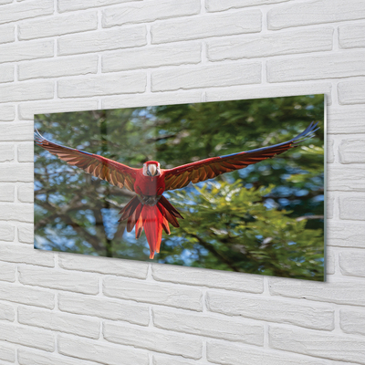 Glass print Macaw parrot