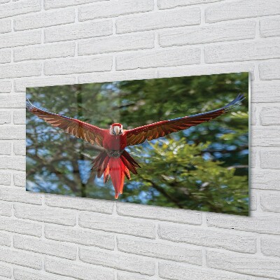 Glass print Macaw parrot