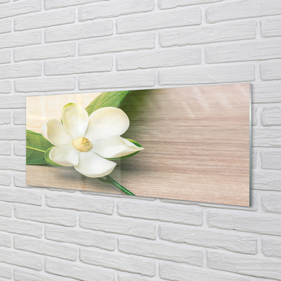Glass print White magnolia
