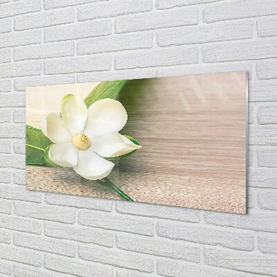 Glass print White magnolia