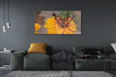 Glass print Butterfly colored flowers