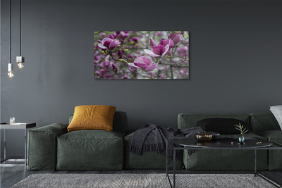 Glass print Purple magnolia