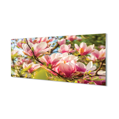 Glass print Pink magnolias