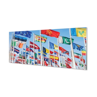 Glass print Many flags