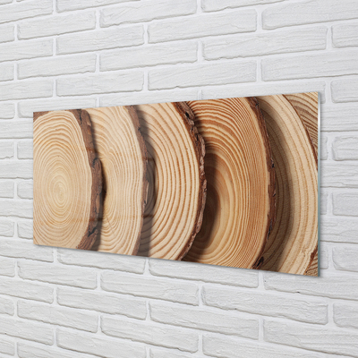 Glass print Slices of wood grain
