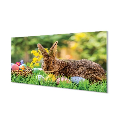 Glass print Meadow rabbit eggs