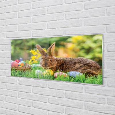 Glass print Meadow rabbit eggs