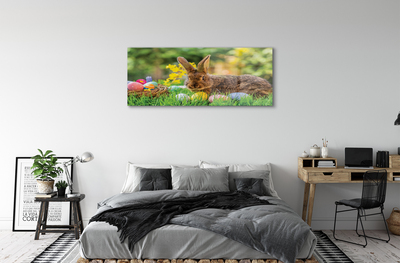 Glass print Meadow rabbit eggs