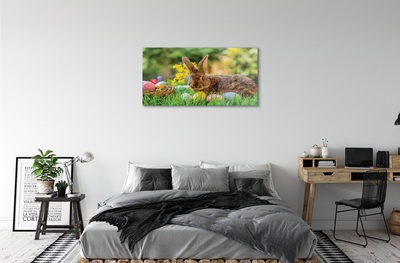 Glass print Meadow rabbit eggs