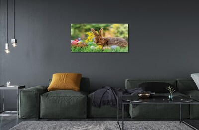 Glass print Meadow rabbit eggs