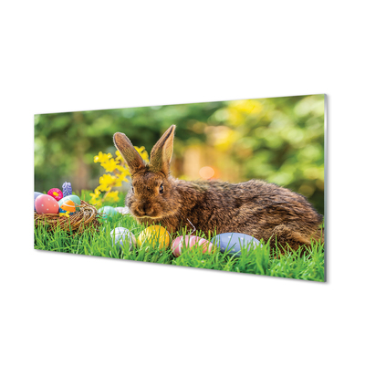 Glass print Meadow rabbit eggs