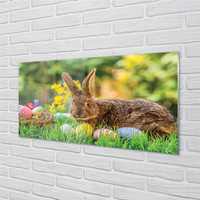 Glass print Meadow rabbit eggs