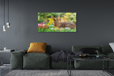 Glass print Meadow rabbit eggs