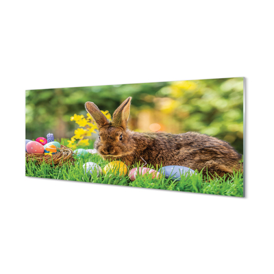 Glass print Meadow rabbit eggs