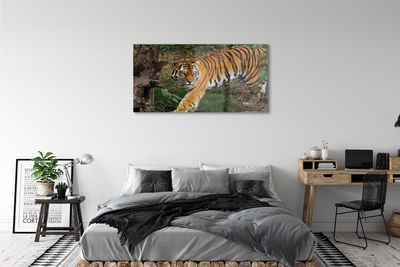 Glass print Tiger woods