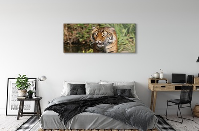 Glass print Tiger woods